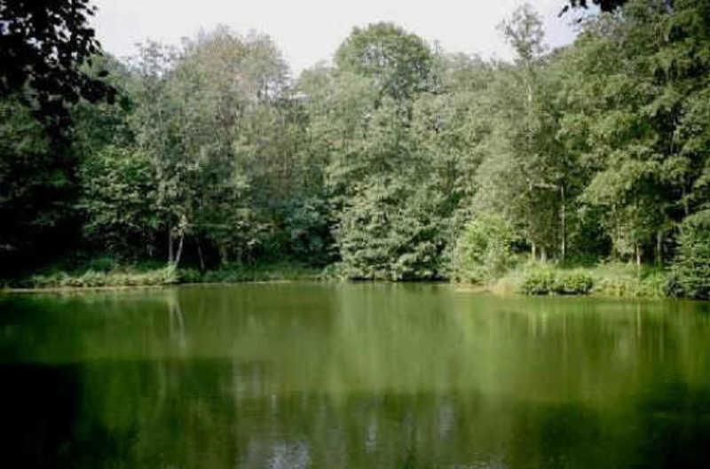 Deb 035 Ferienwohnung Im Westerwald Freirachdorf Exteriör bild